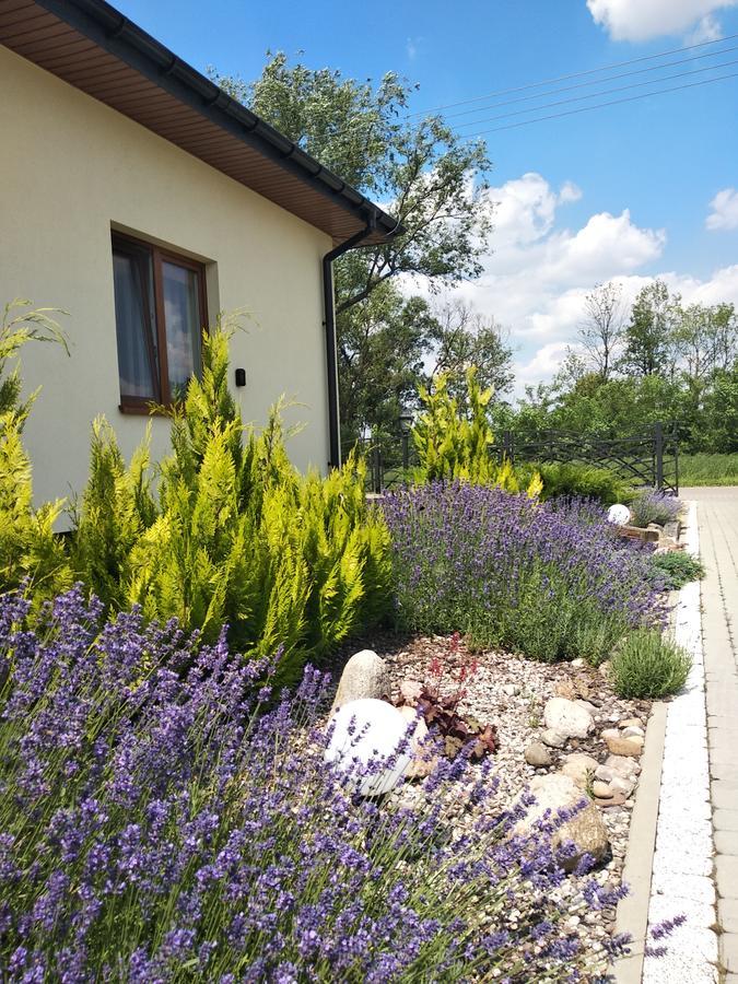Swojski Klimat Siedlin Exteriör bild
